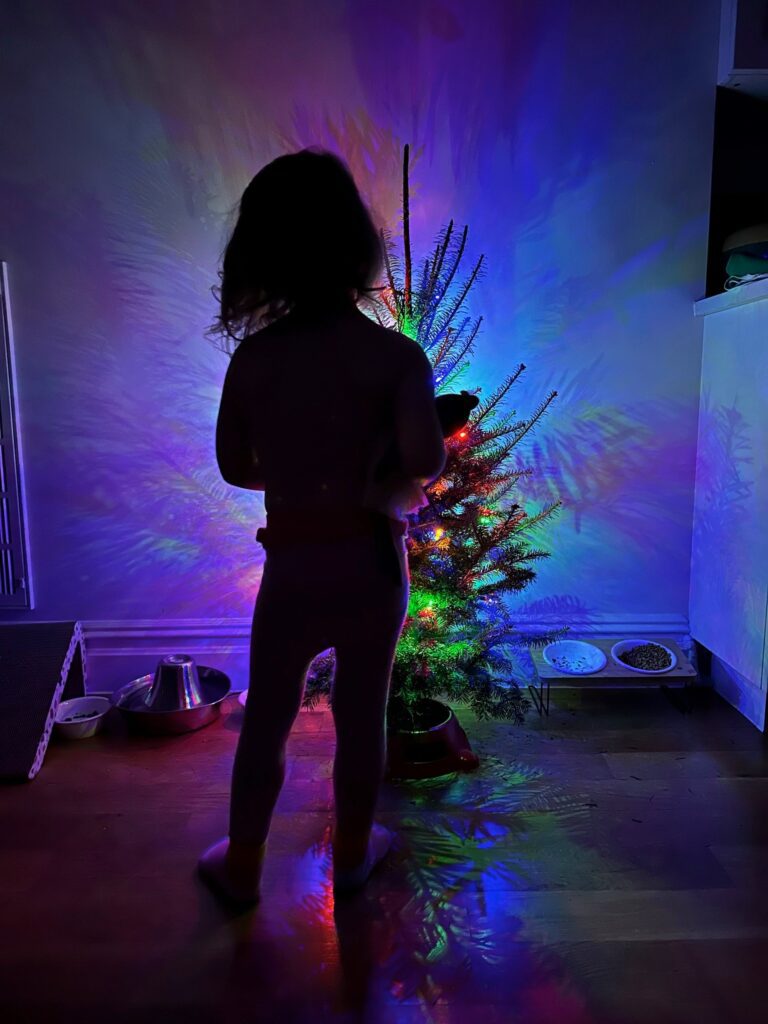 Does Anyone Else Have ‘Decoration Guilt’?