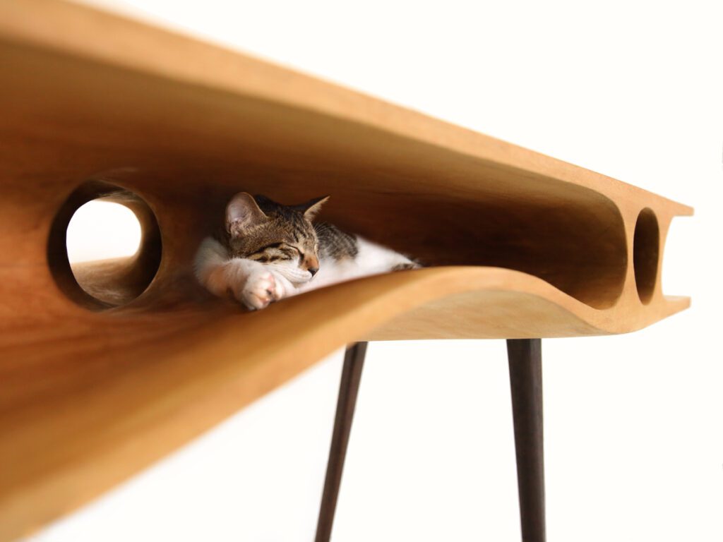 An Ideal Work Station For Cat Owners