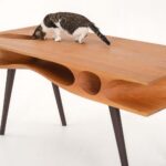 Home Safety for People with Limited Mobility