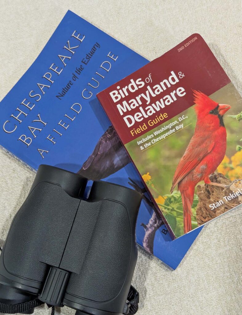 How to Start Bird‑Watching From Home