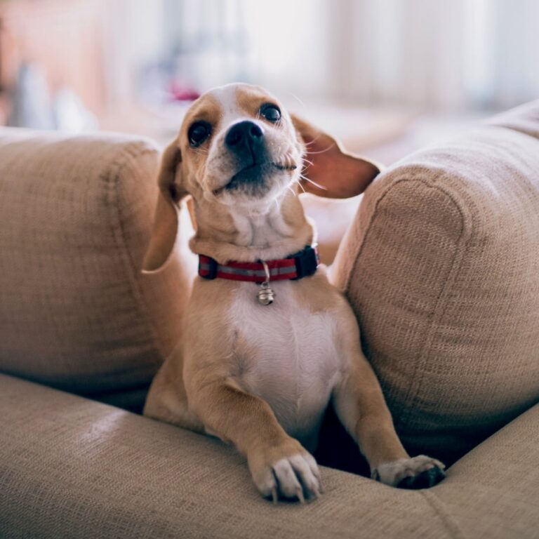 8 Inspiring Reader Comments on Life Changes