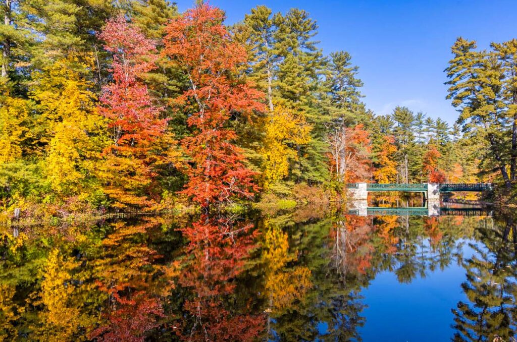 Great Fall Foliage Road Trips of the Northeast
