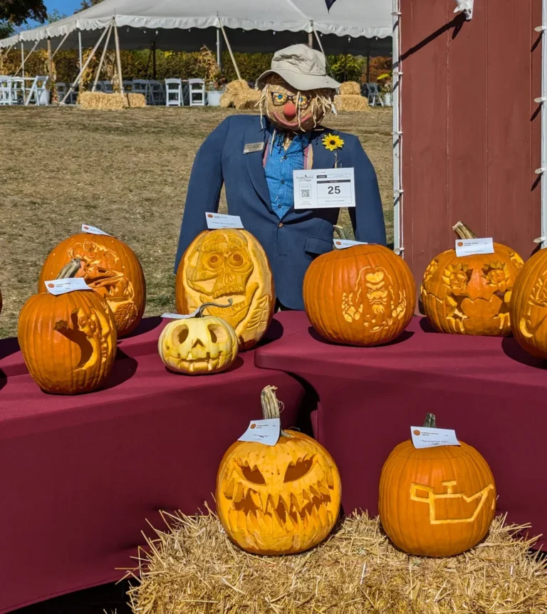 How to Pick a Pumpkin That Lasts: Carving vs. Cooking