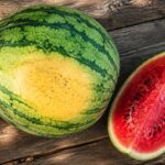 Non Dairy Milks & Beverages: A Complete Guide
