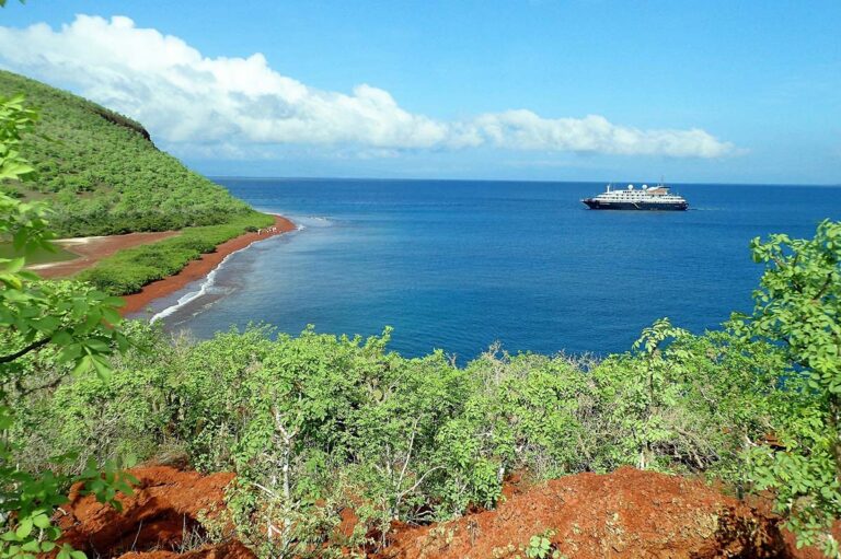 The Top 5 Wildlife Cruises for Animal Lovers