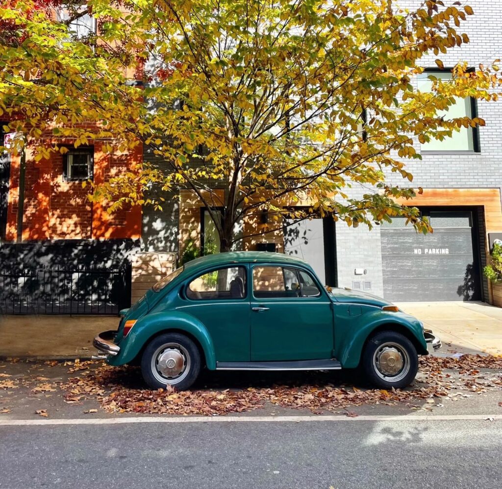 7 Fall Fashion Trends — Thoughts?