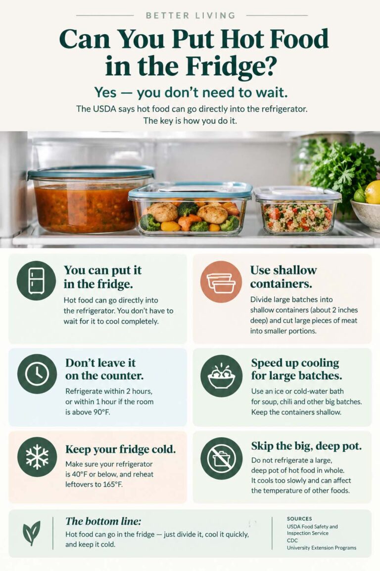 Can You Put Hot Food in the Fridge? Here’s What The Experts Say