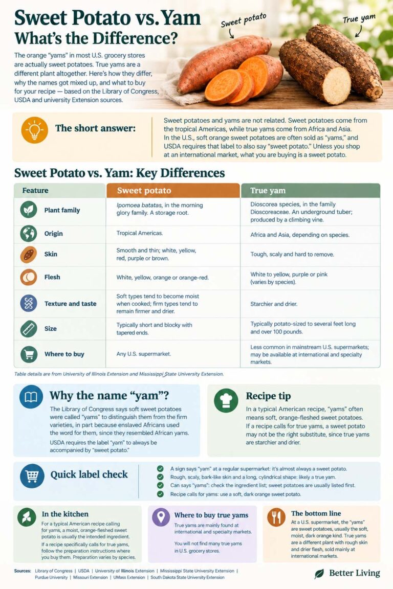 Sweet Potato vs Yam: The Difference and What to Buy